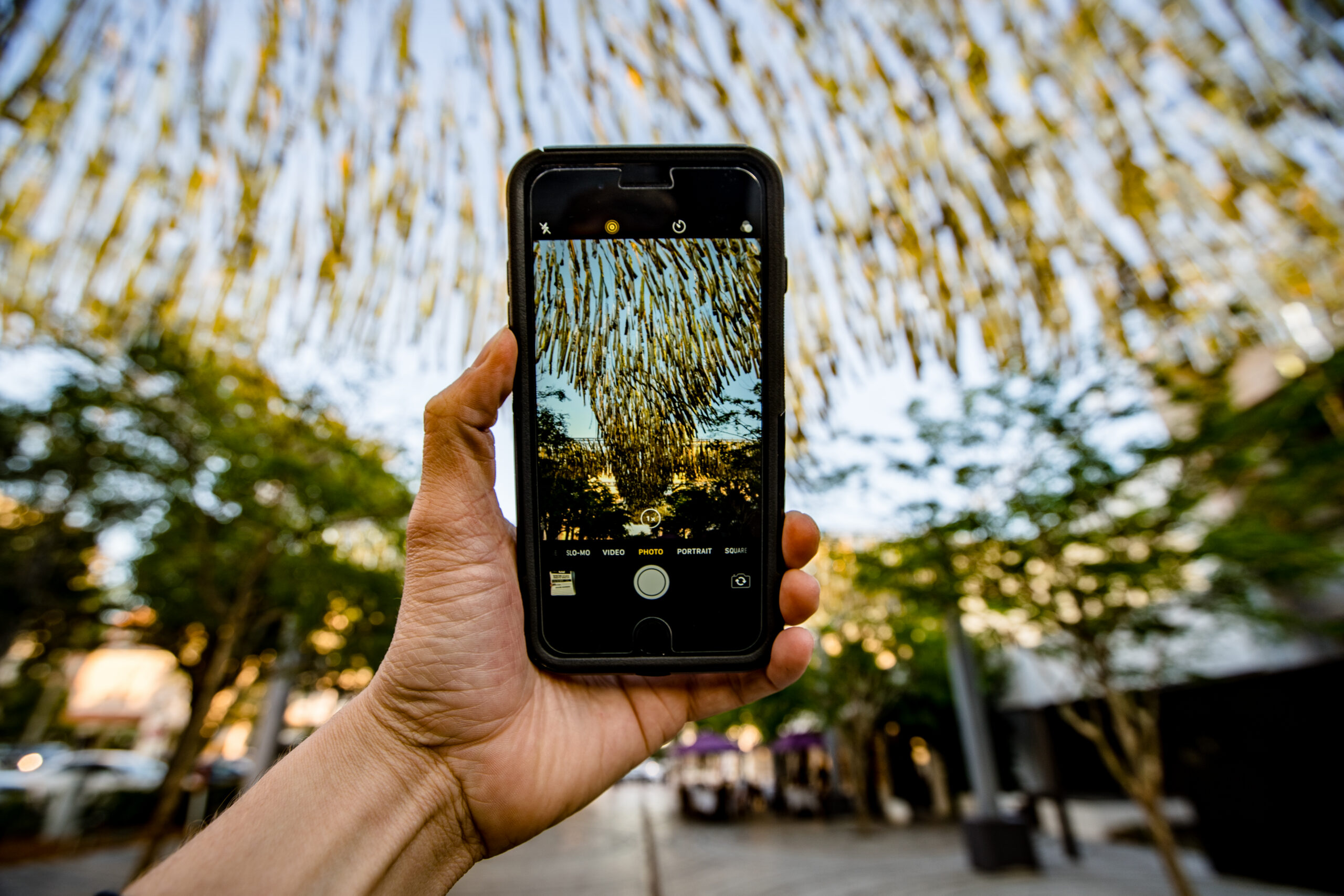 techos magicos ilmex scaled